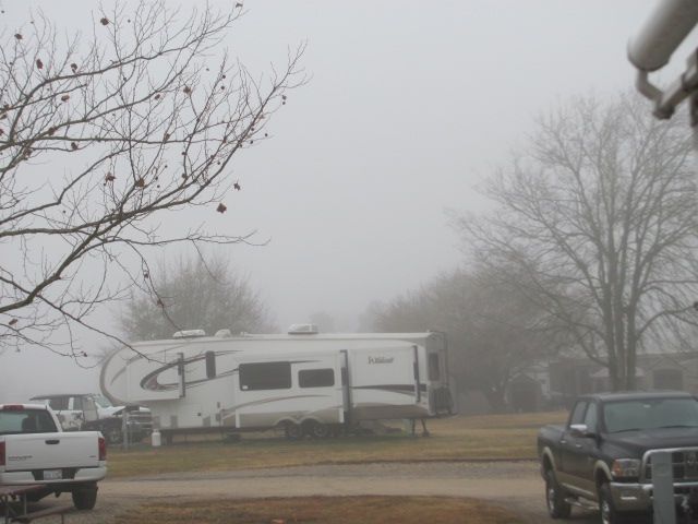 180120 001 foggy morning 003.jpg