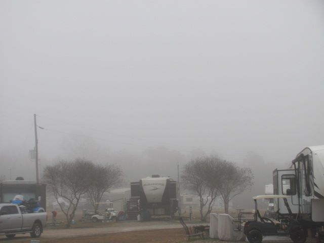 180120 001 foggy morning 002.jpg