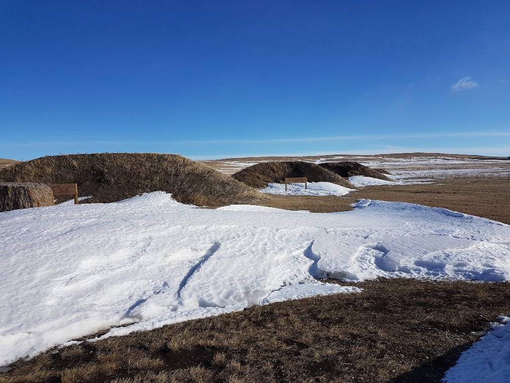 20180121_122605_resized.jpg