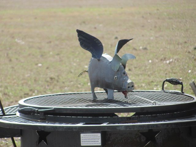 180130 001 when pigs fly 001.jpg