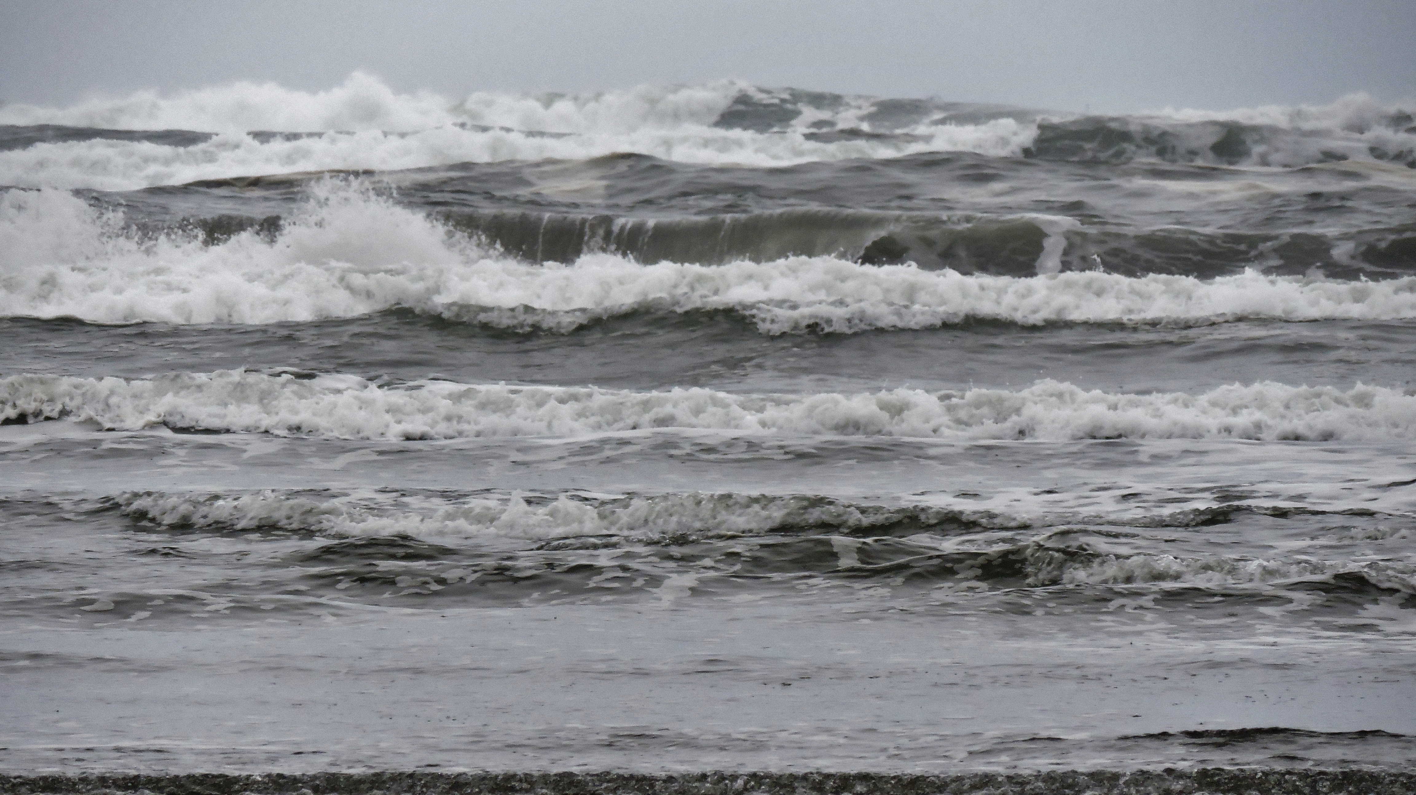 DSCN7496.JPG