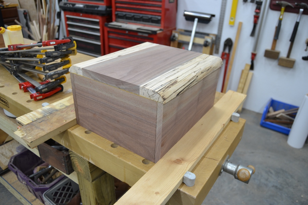 06 ready to shape.jpg