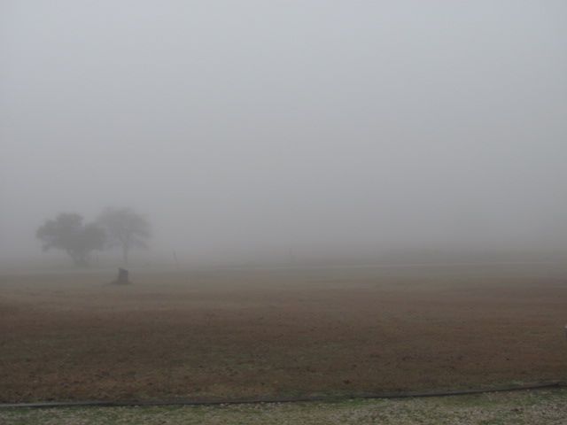 180204 001 FOGGY 001.jpg