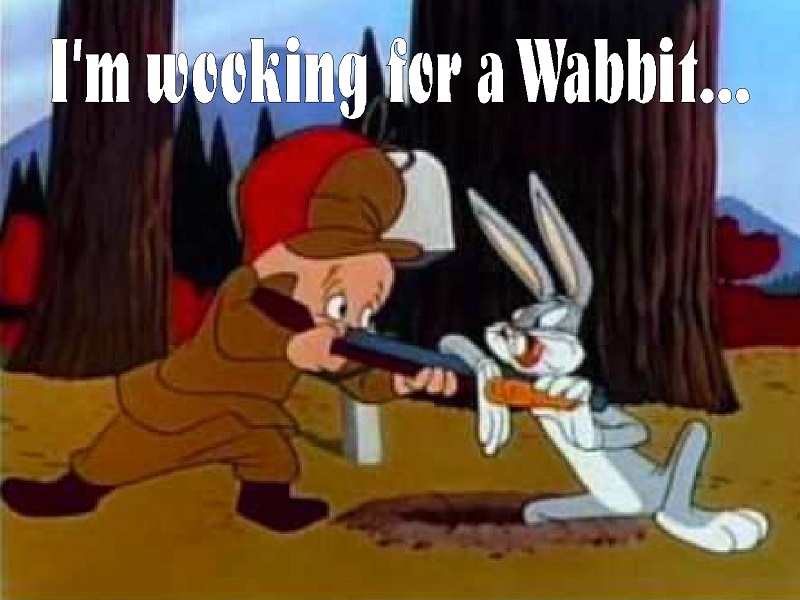 elmer fudd wooking.jpg