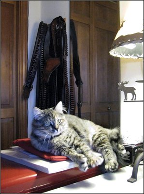 Polly 025.JPG