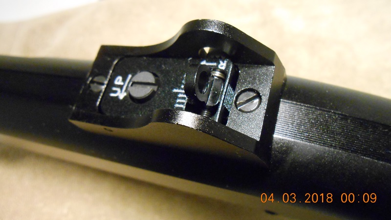 Pump ghost ring rear sight_DSCN2408.jpg