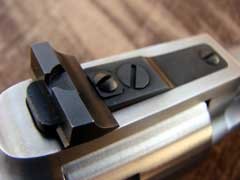 Freedom Arms3.jpg