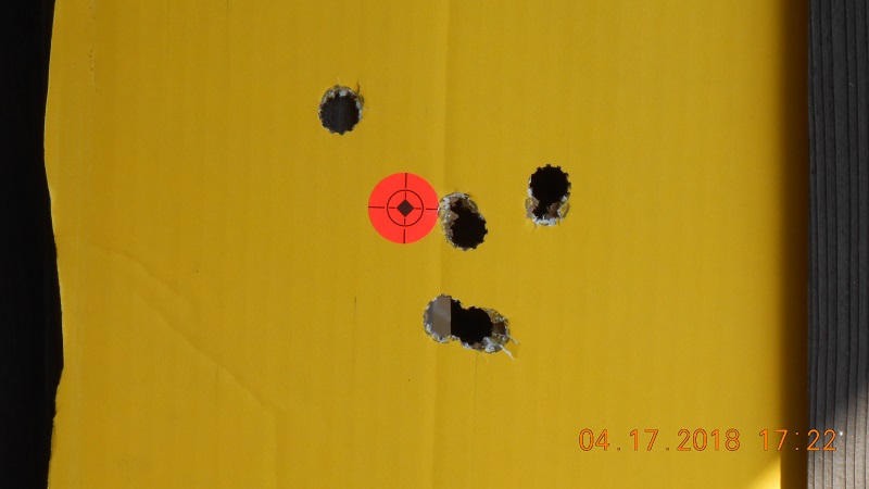 Stevens 20ga_A_25yds_DSCN2416.jpg